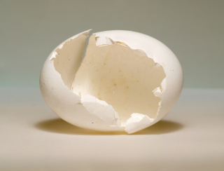 eggshell 4,5x3