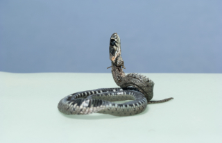snake 7,5x5,5