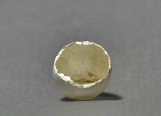 eggshell 2,5x2,5